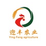 迎丰现代农业ico