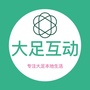 大足互动ico