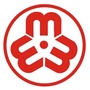 淮阴妇联ico