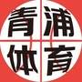 V青浦体育ico