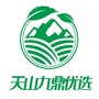 天山九鼎优选ico