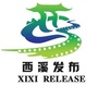 西溪发布ico