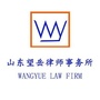 山东望岳律师事务所ico
