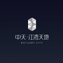 中天江湾天地ico