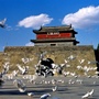 第一关旅游发展有限公司公众号ico