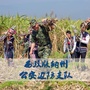 傣乡边防线公众号ico