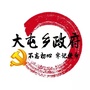 任县大屯乡政府ico