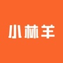 小林羊公众号ico