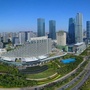 东望莲前ico
