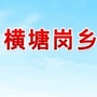 金安区横塘岗乡人民政府ico