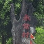 那坡镇永常村惠民服务平台ico