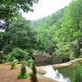 绿色宜秀ico