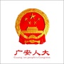 广安人大ico