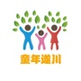 童年遂川ico