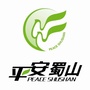 平安蜀山公众号ico