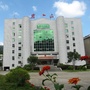 新罗岩山ico