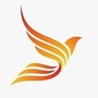 金水期市录公众号ico