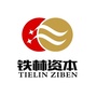 铁林资本ico