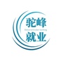驼峰路街道就业创业服务中心ico