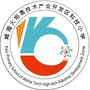 威海高新区科技小学ico