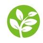 禾安五叶草公众号ico