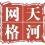 天河街道网格ico