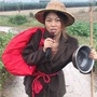 芳华老歌ico