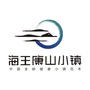 海王湖州康山小镇ico