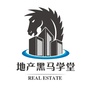 地产黑马学堂ico