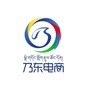 乃东电商ico