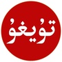 Tuygu丨正能量ico