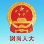 谢岗人大ico