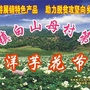 生态白山母ico
