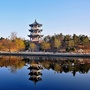 莱西本地事ico