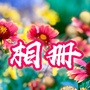 芳华动态相册ico