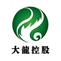 大龙控股ico
