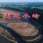 走近小岭ico