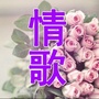 苹果情歌ico