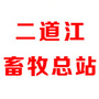 二道江畜牧总站ico