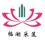临湖采莲ico