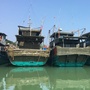 东山渔家湾ico