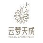 云梦天成ico
