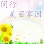 闵行美丽家园ico