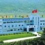 健康桥墩公众号ico