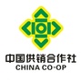 文登供销社ico