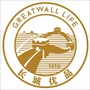 长城优品ico