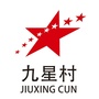 七宝九星村ico
