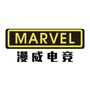 驻马店MARVEL电竞ico