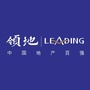 泸州领地ico