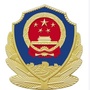 沧州特警ico